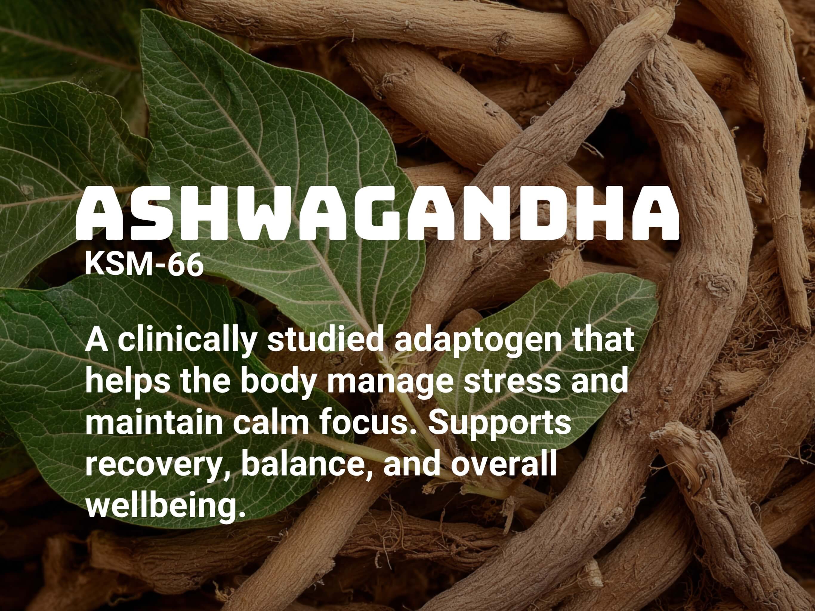 Ashwagandha roots and leaves with text describing it as an adaptogenic herb supporting testosterone, performance, and stress reduction