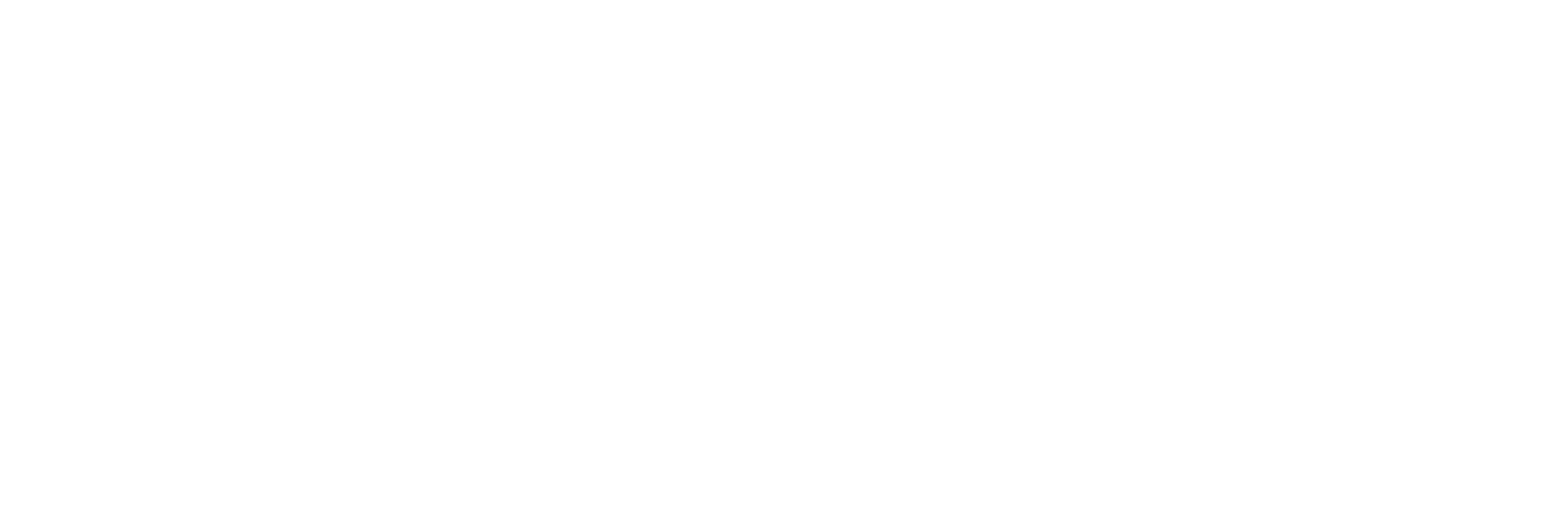 NATTY bold white text logo